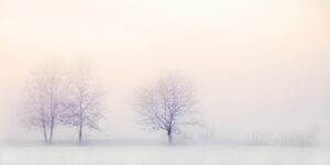 思春期の口臭を早く治すための効果的な対策は？