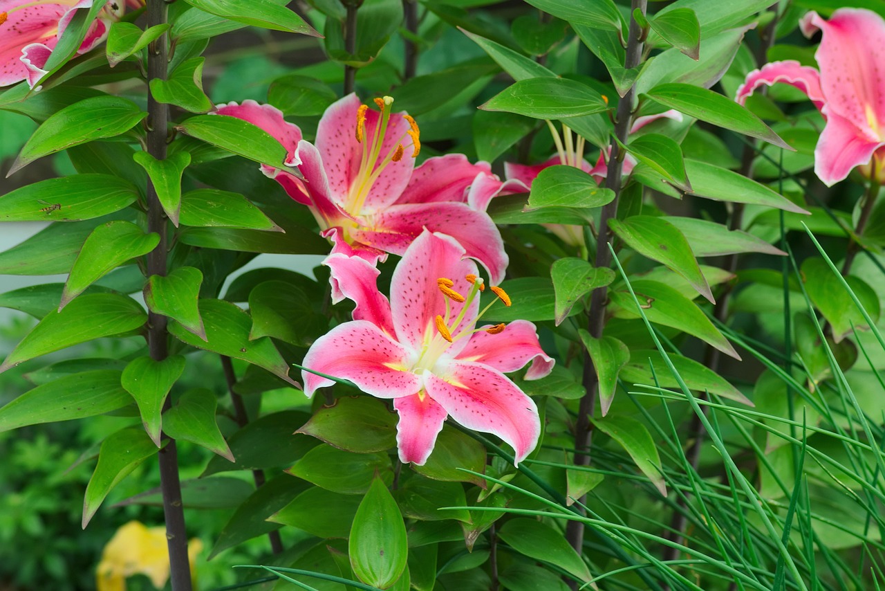 思春期の息の臭いについて相談できる窓口はどこですか？