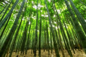 成長期の子どもの口臭について親が気をつけることは？