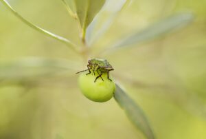 中学生の息が臭い時に効果的なマスクの選び方は？
