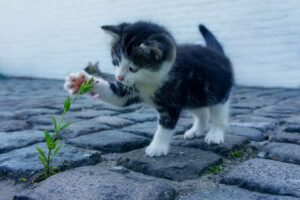 思春期の口臭が気になる原因とは？