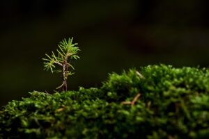 成長期における呼吸器のトラブルを防ぐためのポイントは？