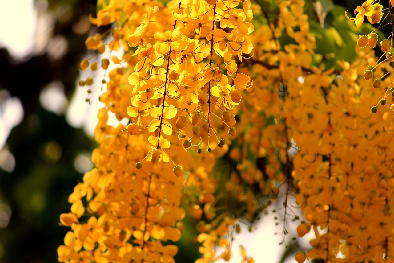 成長期の子どもにおすすめの喉の痛み解消法は？