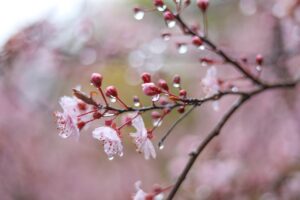 成長期の子どもにおすすめの鼻づまり解消法は？