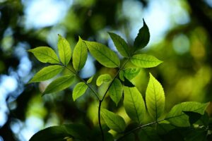 成長期に息が苦しい時の対策は？