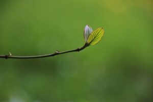成長期の息ケアにおすすめの安い方法は？